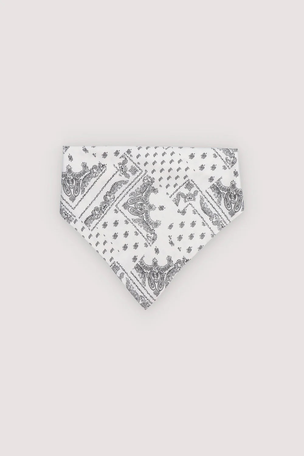 Anika Woman Neck Scarf Print