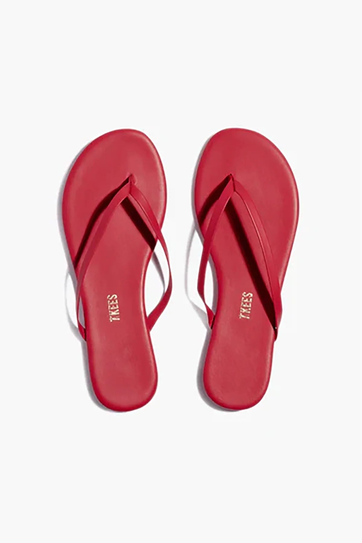Solids in Red | TKEES