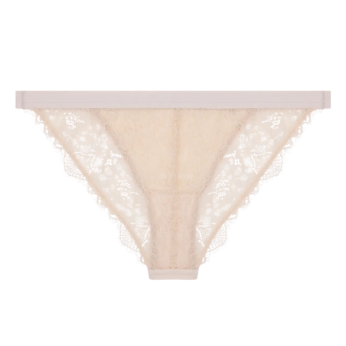 WILD ROSE Comfortable lace briefs in Offwhite