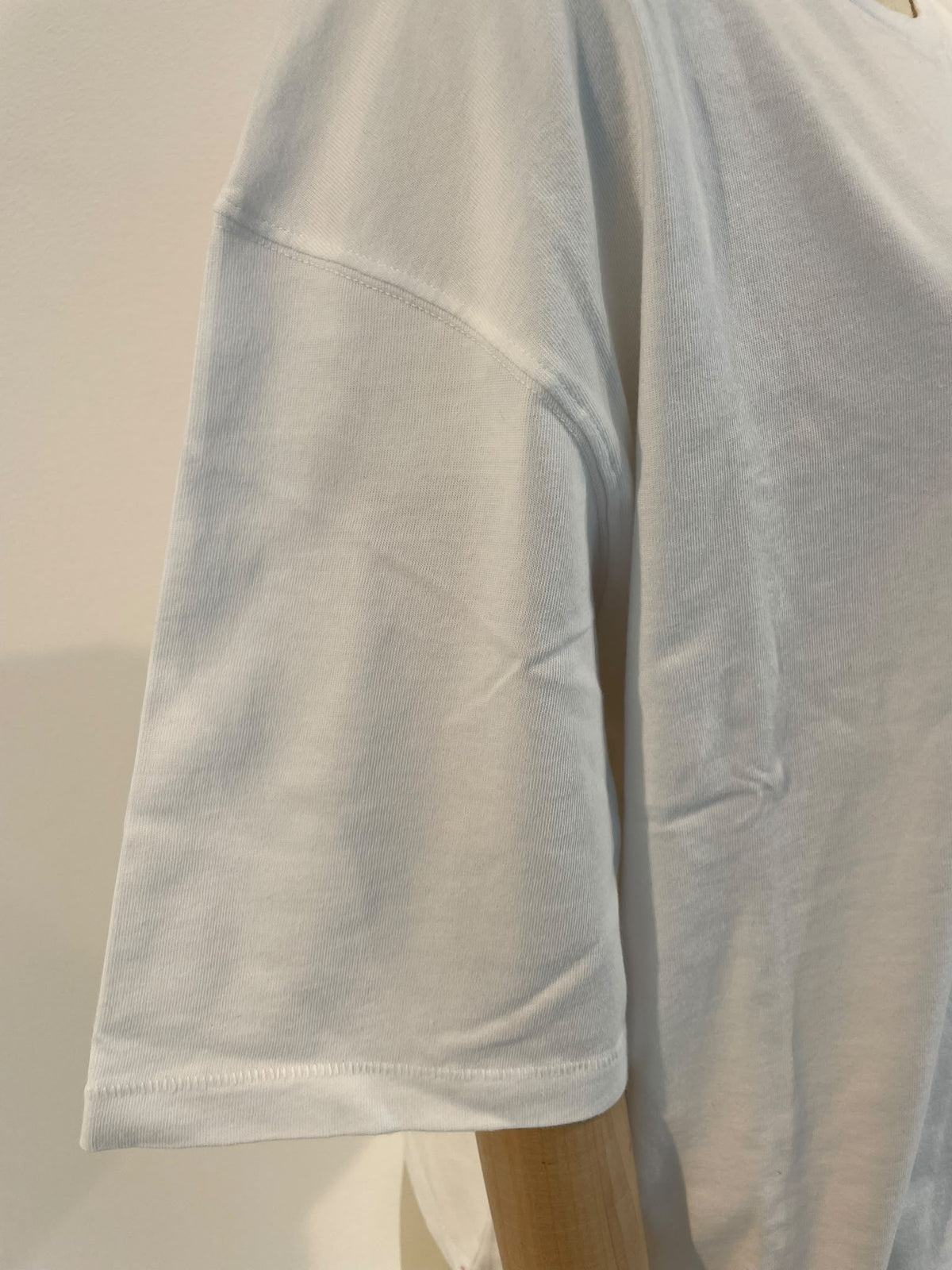 SAGE BOXY CREW T SHIRT-WHITE